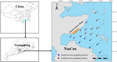 Spatial and temporal distribution of fish egg communities in the adjacent waters of Daya Bay nuclear power plant and their relationship with environmental factors